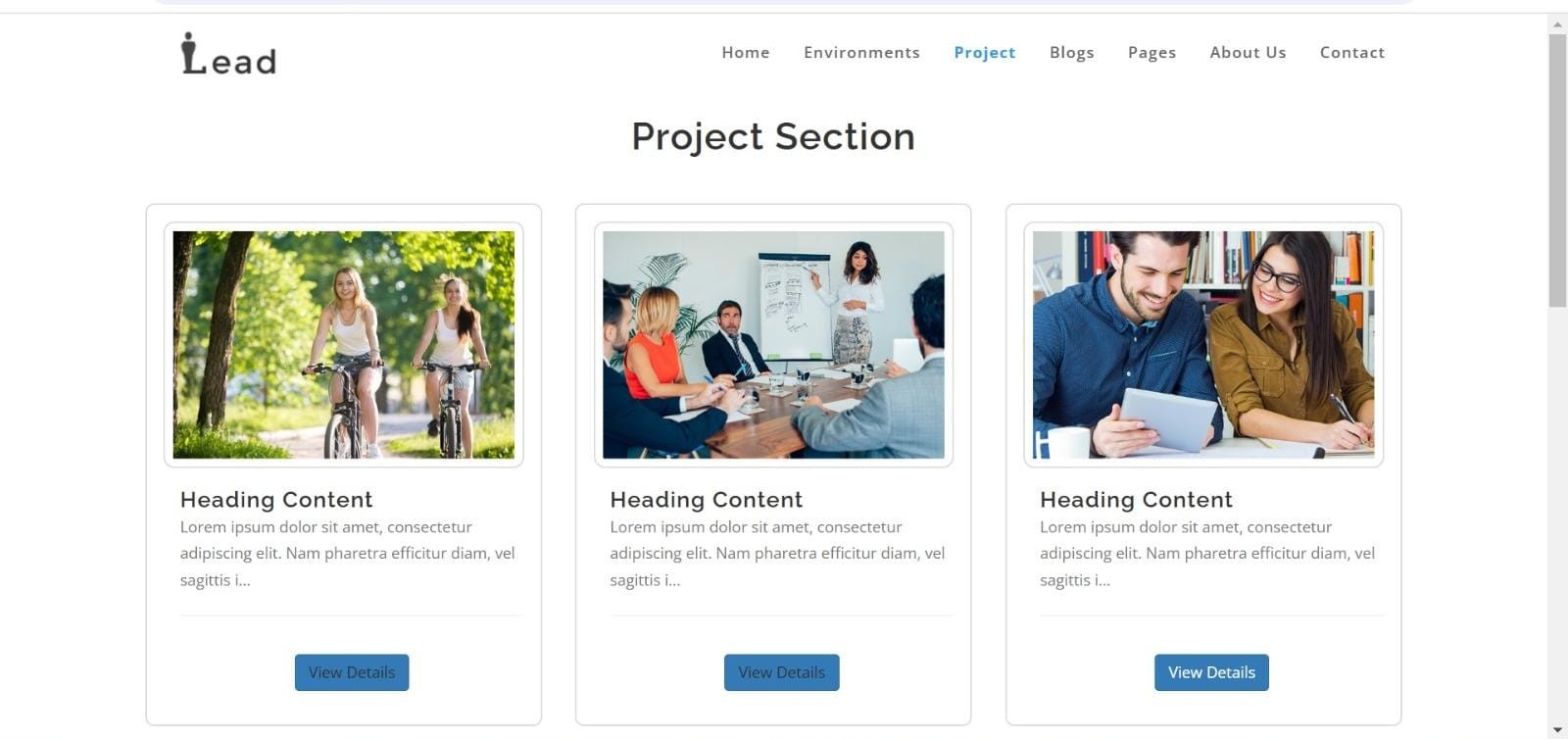 Project Page - Leads Development Projects